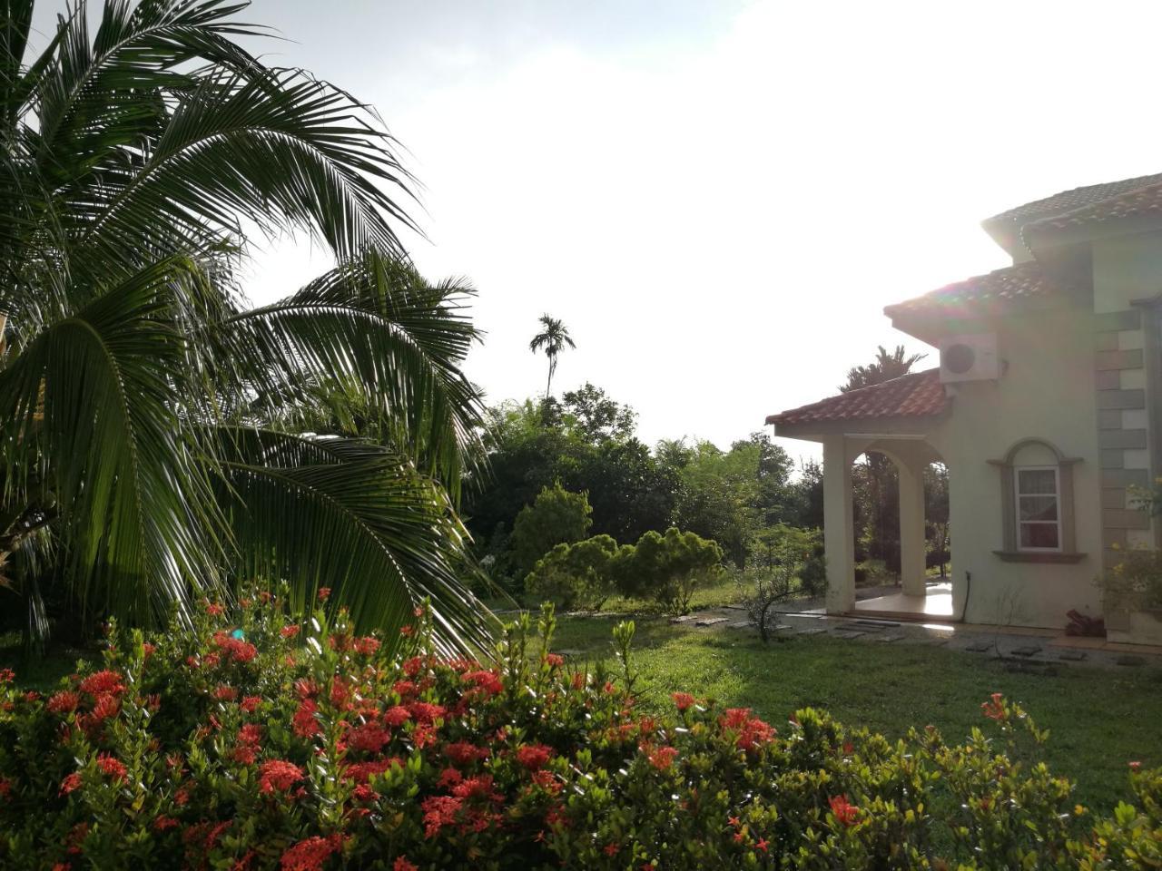 Guesthouse Dragon Place Taiping Exterior photo